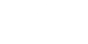 imgi_20_dominos-logo-white