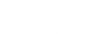 imgi_7_nissan-logo-white